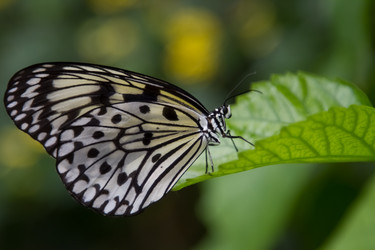 Similar image 8456493