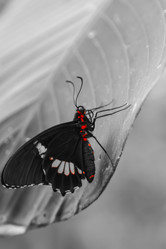 Similar image 8456494