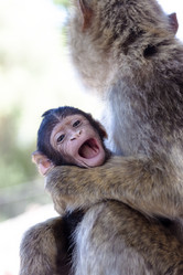 Similar image 8456496