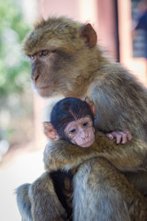 Similar image 8456497