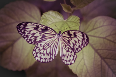 Similar image 8456503