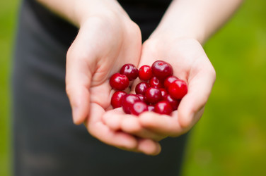 Similar image 8456591