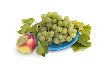 Similar image 8456607