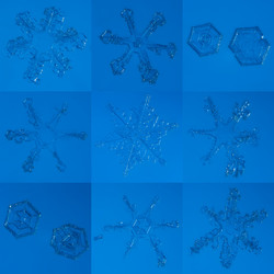 Similar image 8456611