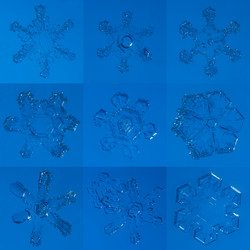 Similar image 8456612