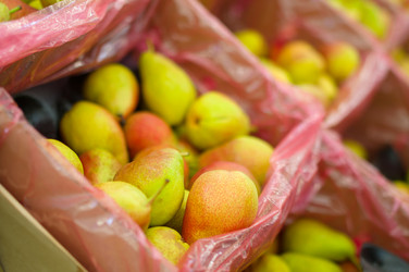 Similar image 8456615