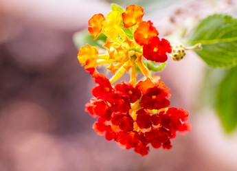 Similar image 8456707