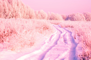 Similar image 8456757