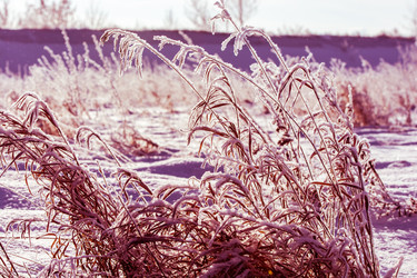 Similar image 8456781