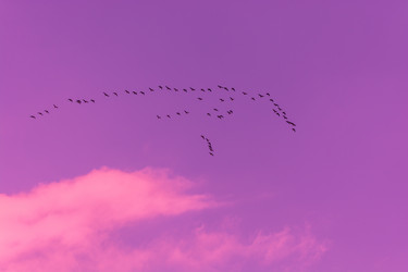 Similar image 8456782