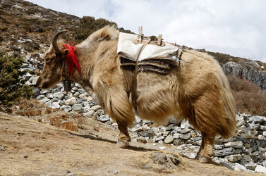 Similar image 8456866