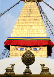 Similar image 8456873