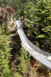 Similar image 8456883