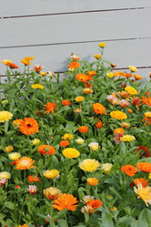 Similar image 8457048