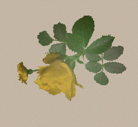 Similar image 8457647