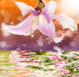 Similar image 8457869