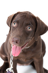 Similar image 8457911