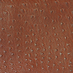 Similar image 8457963