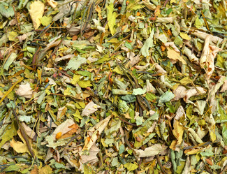 Similar image 8457977