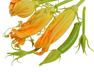 Similar image 8458010