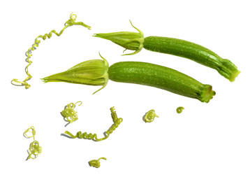 Similar image 8458076