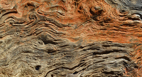 Similar image 8458162