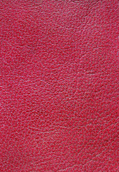 Similar image 8458164