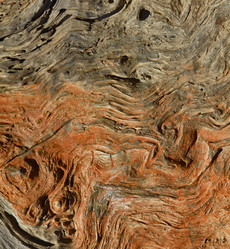 Similar image 8458172