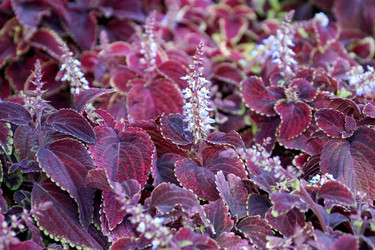 Similar image 8458182