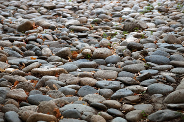 Similar image 8458190