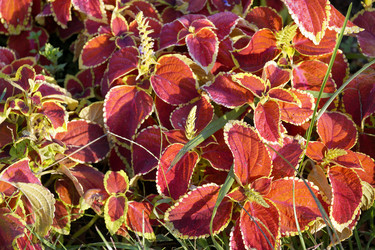 Similar image 8458192