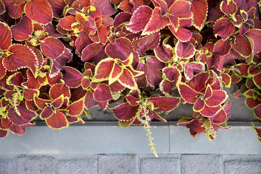 Similar image 8458194