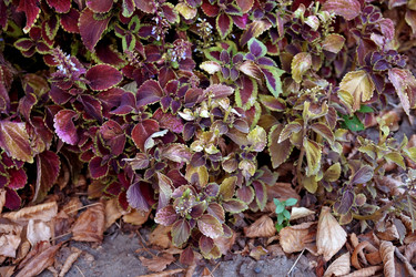 Similar image 8458195