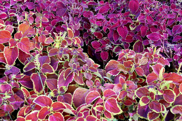 Similar image 8458202