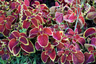 Similar image 8458204