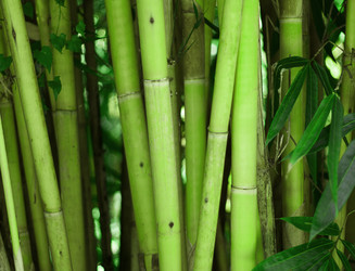 Similar image 8458239