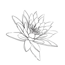 Similar image 8458258