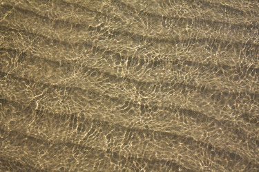 Similar image 8458271