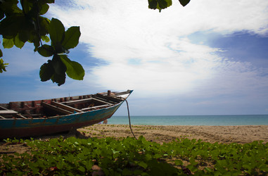 Similar image 8458276