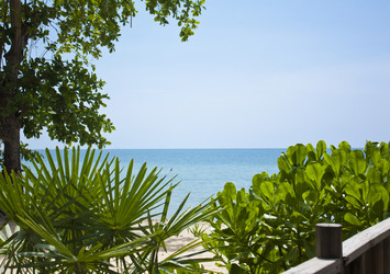 Similar image 8458283