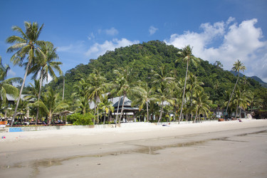 Similar image 8458286