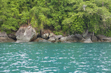 Similar image 8458288