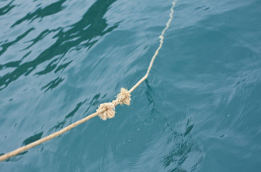 Similar image 8458289