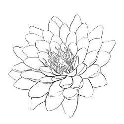 Similar image 8458304