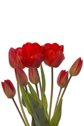 Similar image 8458360