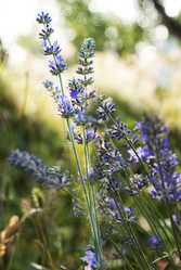 Similar image 8458361