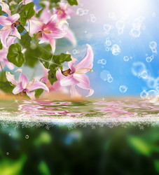 Similar image 8458381