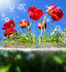 Similar image 8458382