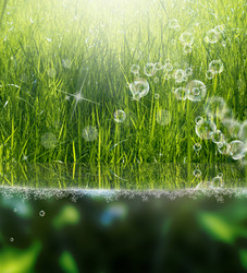 Similar image 8458384