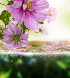 Similar image 8458385